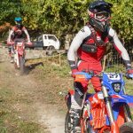 Desafio fotográfico convida a descobrir as oliveiras de Vila Verde