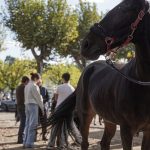 Terras de Bouro inaugurou Balcão Móvel de Inclusão com a presença da Secretária de Estado da Ação Social e da Inclusão