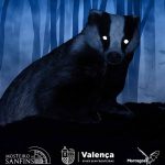 Trabalhadora de 52 anos morre presa em tear numa fábrica de Braga